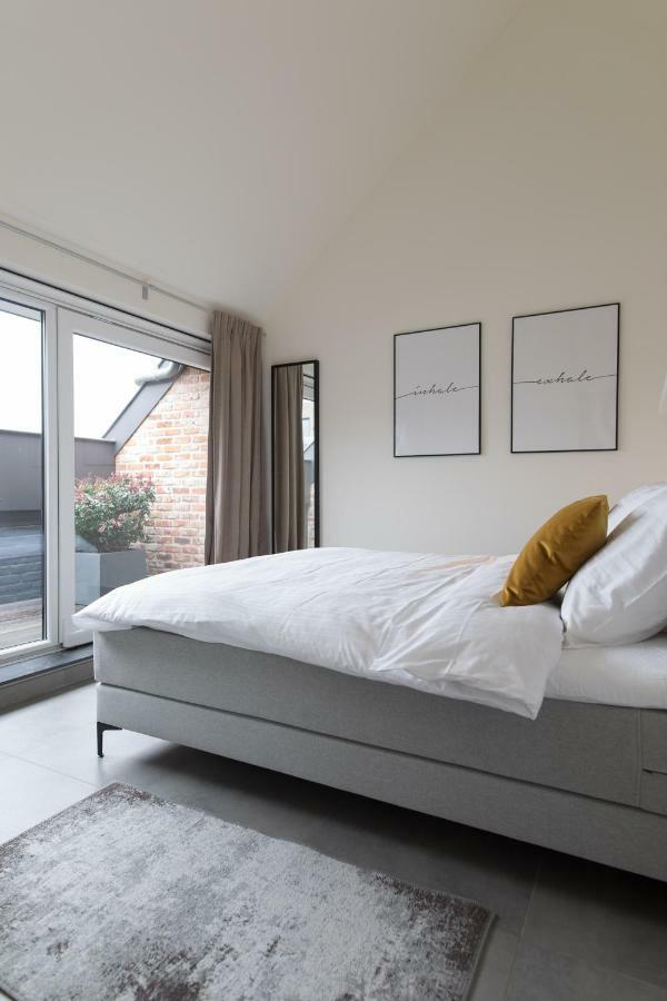 Raveel Lofts
